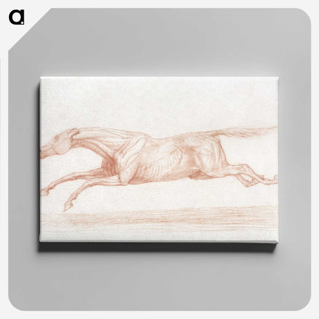 2-29_George-Stubbs_canvas