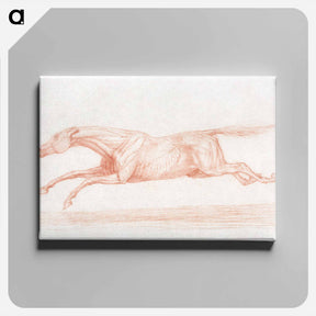 アートパネル-Racehorse in Action: A Semi-Anatomical Study
 - ジョージ スタッブス Canvas.