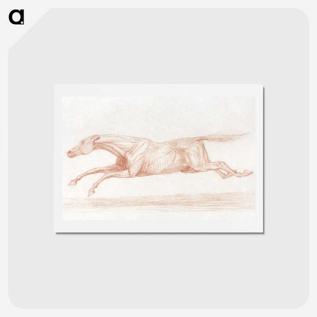 2-29_George-Stubbs_hagaki