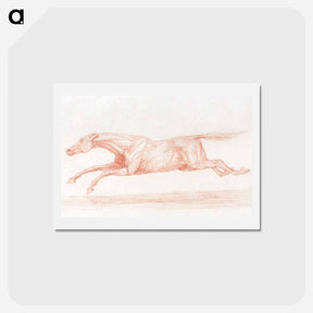 アートポストカード-Racehorse in Action: A Semi-Anatomical Study
 - ジョージ スタッブス Postcard.