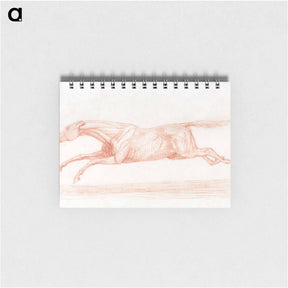 アートメモ帳-Racehorse in Action: A Semi-Anatomical Study
 - ジョージ スタッブス Memo.