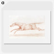 2-29_George-Stubbs_picture
