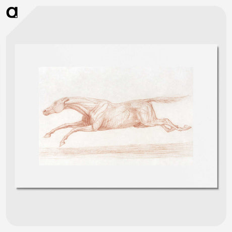 2-29_George-Stubbs_picture