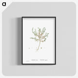 2-29_Histoire-des-Plantes-Grasses_blk-crop