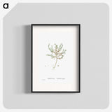 2-29_Histoire-des-Plantes-Grasses_blk