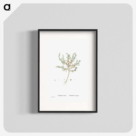 2-29_Histoire-des-Plantes-Grasses_blk