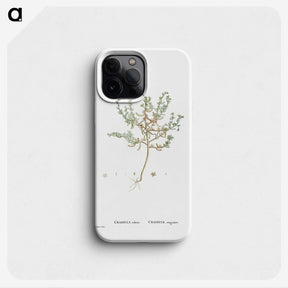 2-29_Histoire-des-Plantes-Grasses_phone