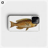 2-29_Ichtyologie-ou-Histoire-naturelle_phone