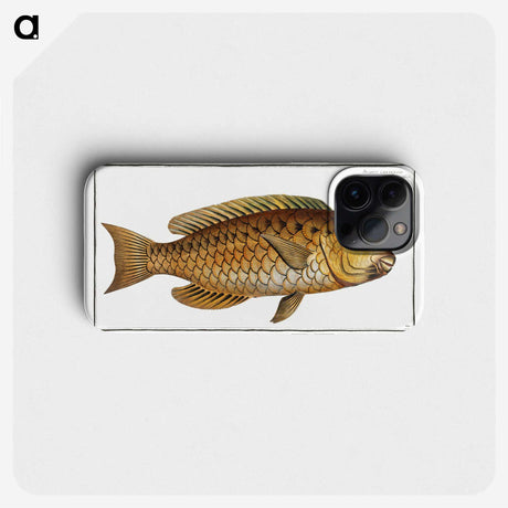 2-29_Ichtyologie-ou-Histoire-naturelle_phone