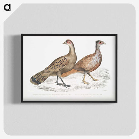 2-29_Indian-Zoology_blk-crop