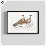 2-29_Indian-Zoology_blk