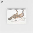 2-29_Indian-Zoology_memo