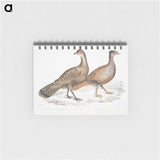 2-29_Indian-Zoology_memo