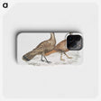 2-29_Indian-Zoology_phone