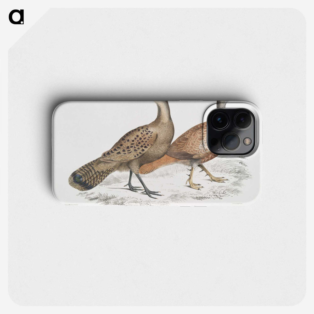 2-29_Indian-Zoology_phone