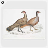 2-29_Indian-Zoology_picture-crop