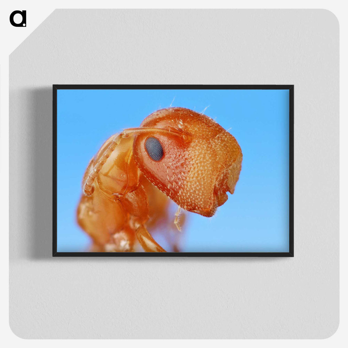 2-29_Insects-Unlocked-Project_blk-crop