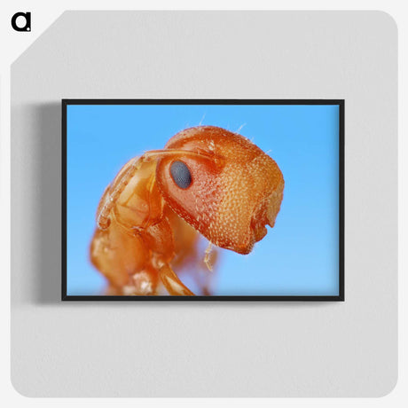 2-29_Insects-Unlocked-Project_blk-crop