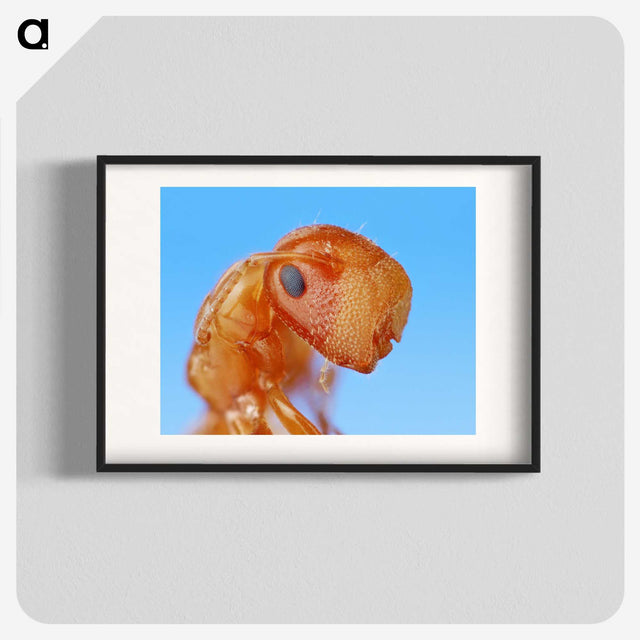 2-29_Insects-Unlocked-Project_blk