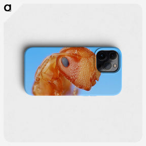 2-29_Insects-Unlocked-Project_phone