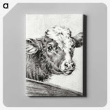 2-29_Jean-Bernard_canvas