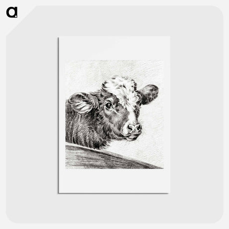 アートポストカード-Head of a cow - ジャン ベルナール Postcard.