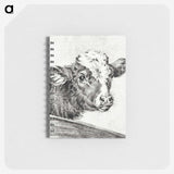 2-29_Jean-Bernard_memo