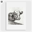 2-29_Jean-Bernard_picture