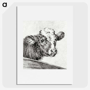 2-29_Jean-Bernard_picture