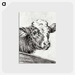 2-29_Jean-Bernard_postcard