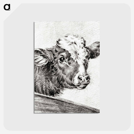 アートポストカード-Head of a cow - ジャン ベルナール Postcard.