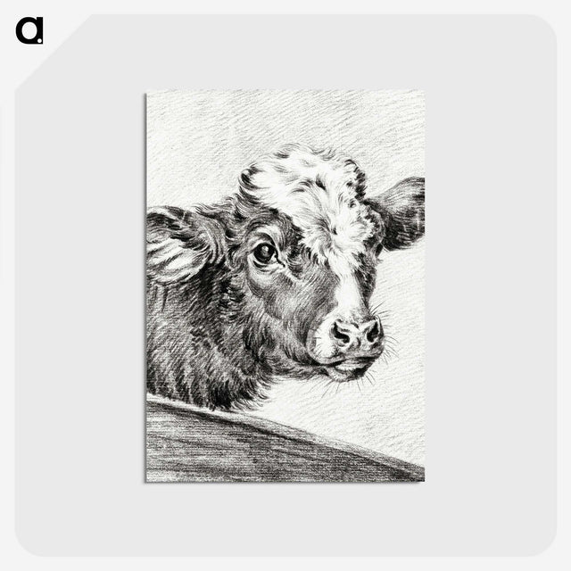 2-29_Jean-Bernard_postcard