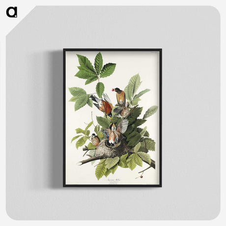 2-29_John-James-Audubon_blk-crop