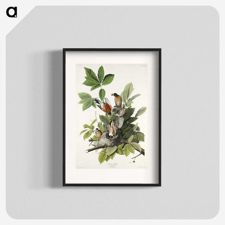 2-29_John-James-Audubon_blk