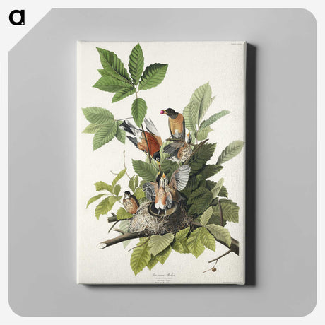 2-29_John-James-Audubon_canvas