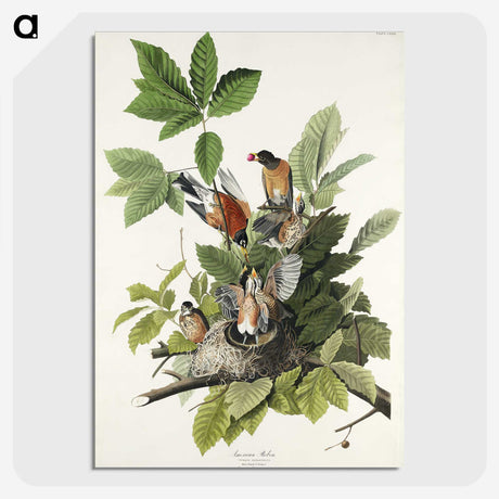2-29_John-James-Audubon_picture-crop
