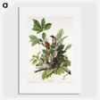 2-29_John-James-Audubon_picture