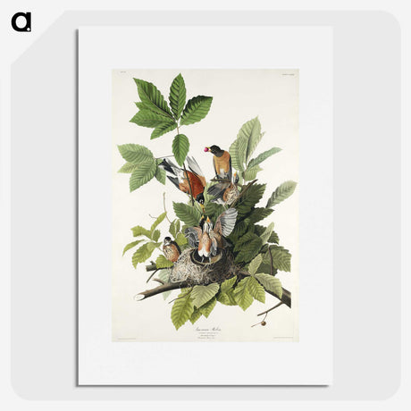 2-29_John-James-Audubon_picture