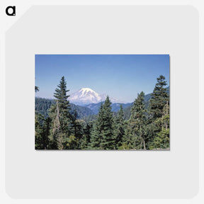 2-29_John-Margolies_postcard