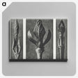 2-29_Karl-Blossfeldt_canvas