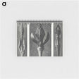2-29_Karl-Blossfeldt_memo
