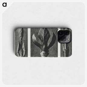 2-29_Karl-Blossfeldt_phone