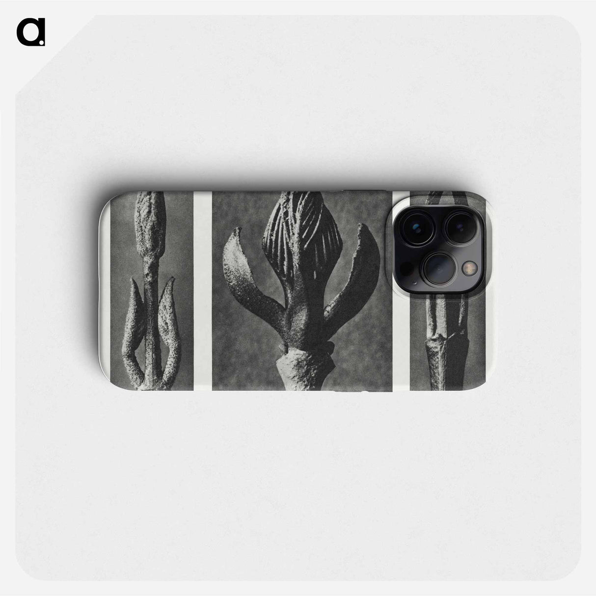 Callicarpa Dichotoma (Beautyberry) enlarged 7 times, Fraxinus Ornus (Flowering Ash) enlarged 6 times, and Cornus Pubescens (Dogwood) enlarged 8 times from Urformen der Kunst by. - カール ブロスフェルト Phone Case.