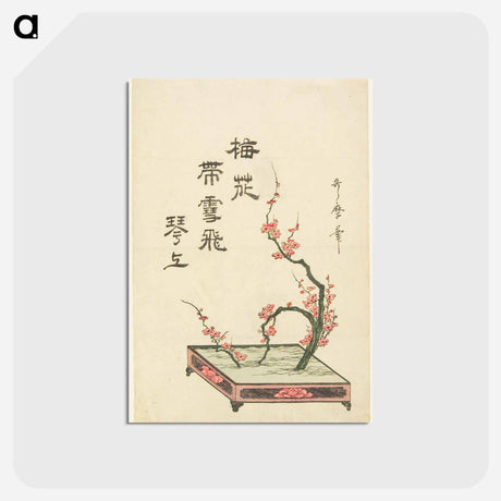 アートポストカード-Ikebana arrangement of a plum branch - 喜多川 歌麿 Postcard.