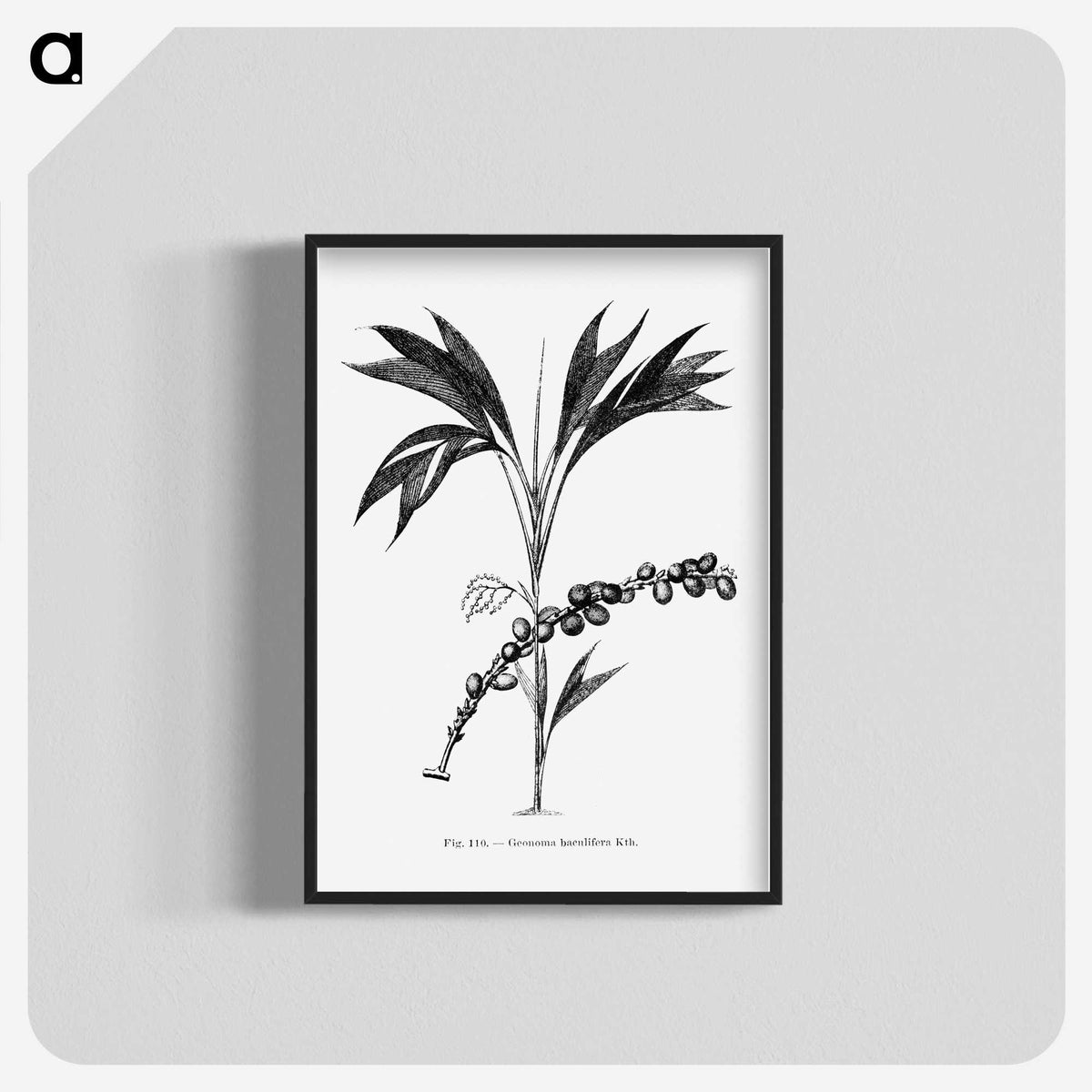 2-29_Les-Palmiers-Histoire-Iconographique_blk-crop