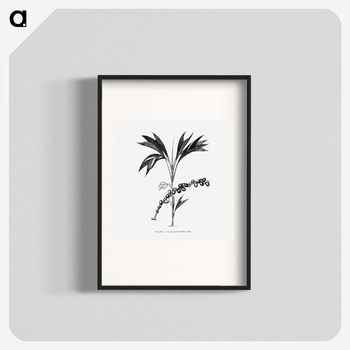 2-29_Les-Palmiers-Histoire-Iconographique_blk