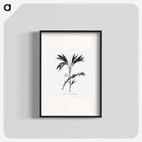 2-29_Les-Palmiers-Histoire-Iconographique_blk