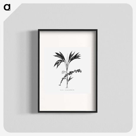 2-29_Les-Palmiers-Histoire-Iconographique_blk