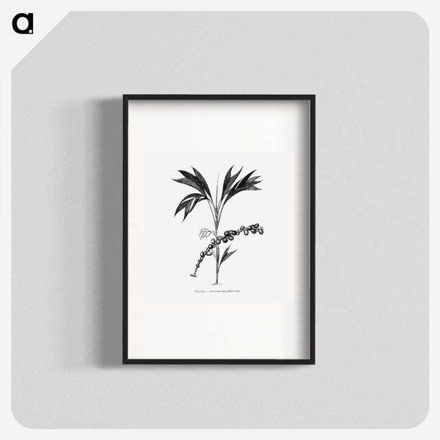 2-29_Les-Palmiers-Histoire-Iconographique_blk