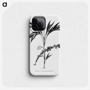 2-29_Les-Palmiers-Histoire-Iconographique_phone
